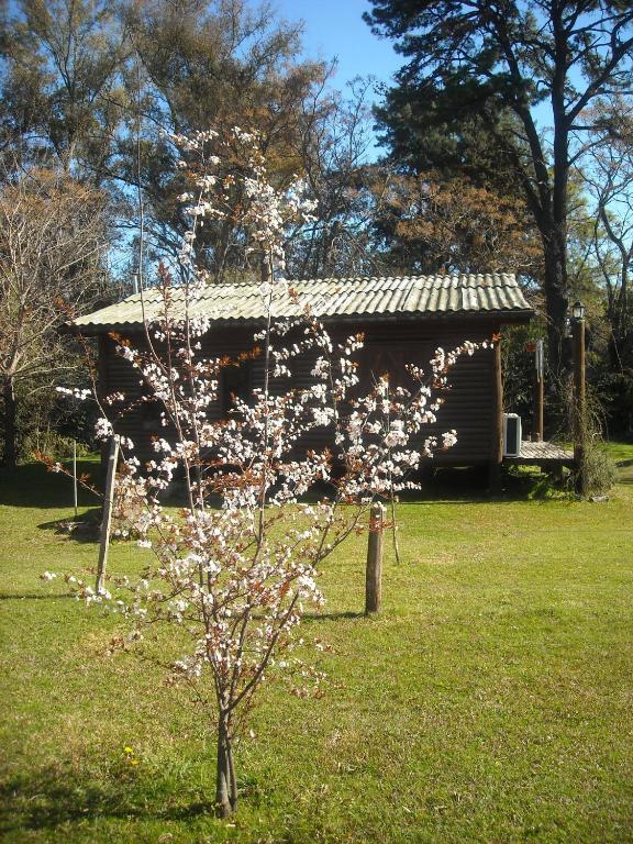 Cabanas Las Lavandas En Pilar ปีลาร์ ภายนอก รูปภาพ