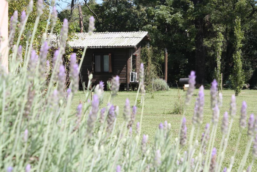Cabanas Las Lavandas En Pilar ปีลาร์ ภายนอก รูปภาพ